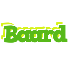 Baard picnic logo