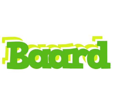 Baard picnic logo