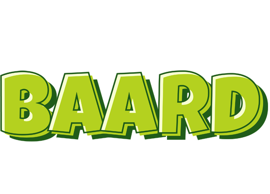 Baard summer logo