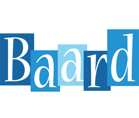 Baard winter logo
