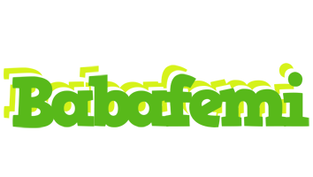 Babafemi picnic logo