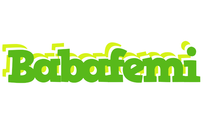 Babafemi picnic logo