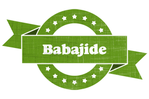 Babajide natural logo