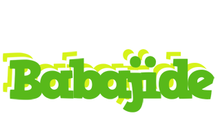 Babajide picnic logo