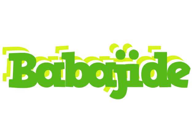 Babajide picnic logo