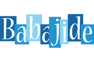 Babajide winter logo