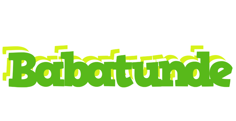 Babatunde picnic logo