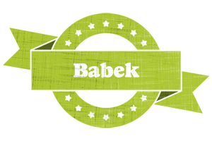 Babek change logo