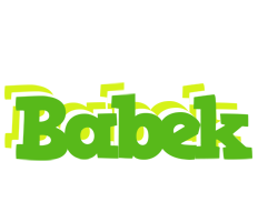 Babek picnic logo