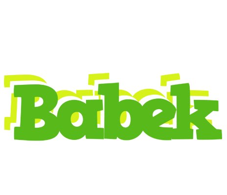Babek picnic logo