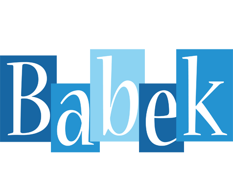 Babek winter logo