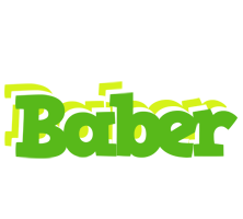 Baber picnic logo