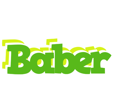 Baber picnic logo