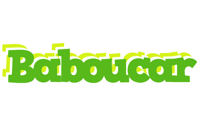 Baboucar picnic logo