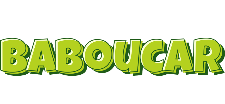 Baboucar summer logo