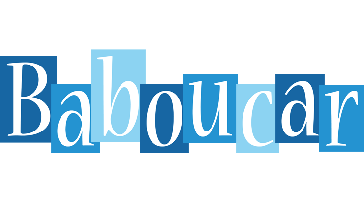 Baboucar winter logo