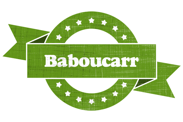 Baboucarr natural logo