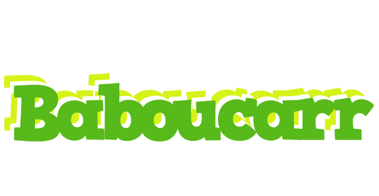 Baboucarr picnic logo