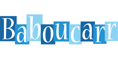 Baboucarr winter logo