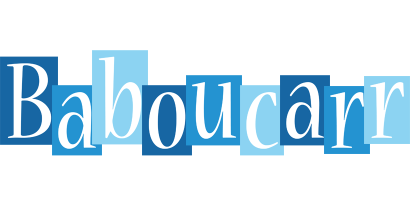 Baboucarr winter logo