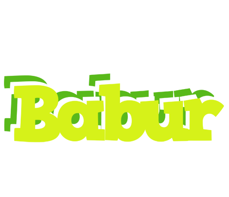Babur citrus logo