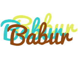 Babur cupcake logo