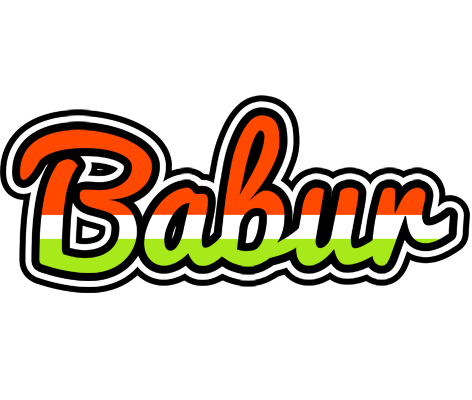 Babur exotic logo