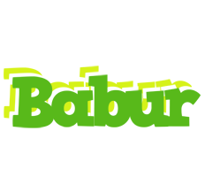 Babur picnic logo