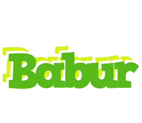 Babur picnic logo