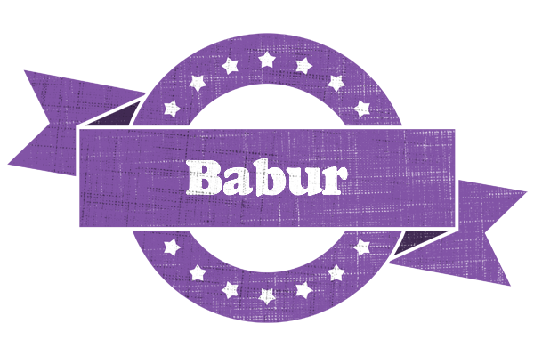 Babur royal logo