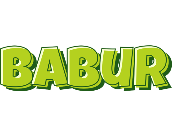 Babur summer logo