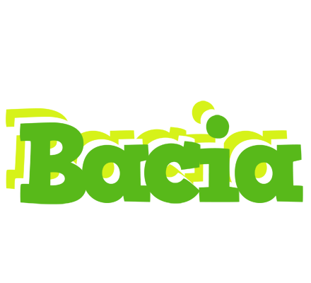Bacia picnic logo