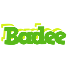 Badee picnic logo