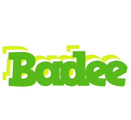 Badee picnic logo