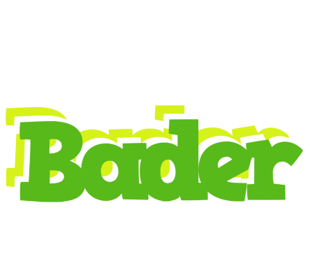 Bader picnic logo