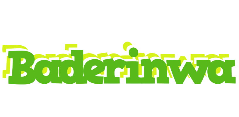 Baderinwa picnic logo