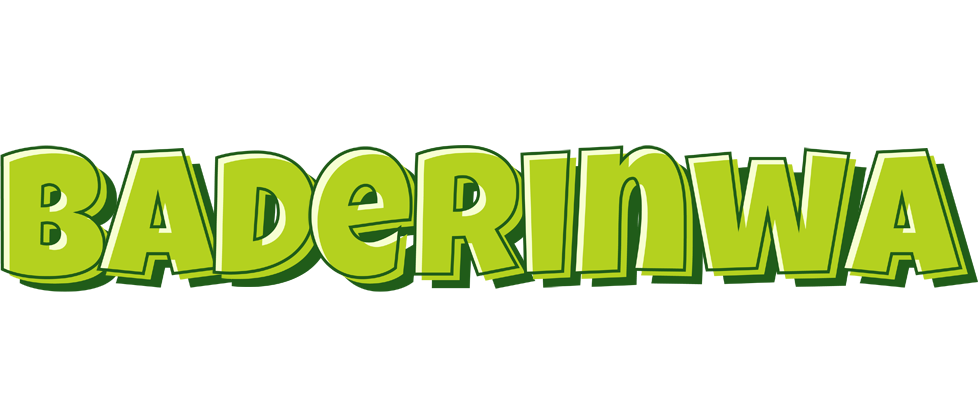 Baderinwa summer logo