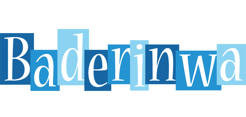 Baderinwa winter logo