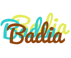 Badia cupcake logo