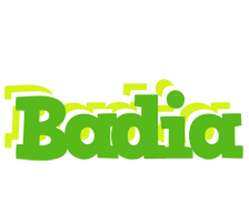 Badia picnic logo