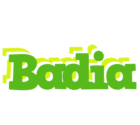 Badia picnic logo