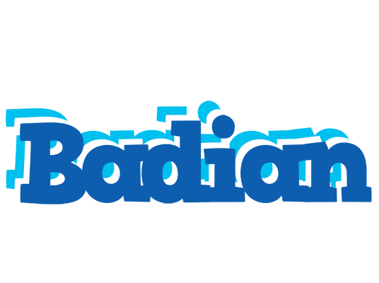 Badian business logo
