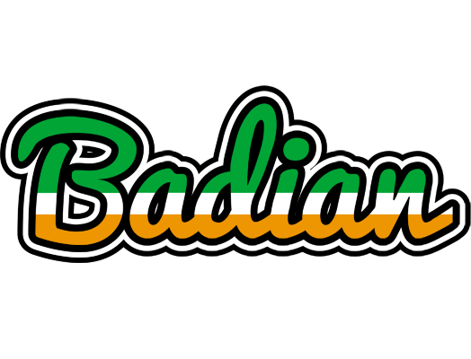Badian ireland logo