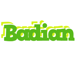 Badian picnic logo