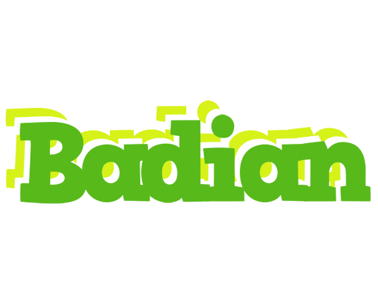 Badian picnic logo