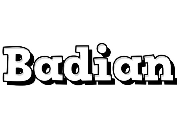 Badian snowing logo