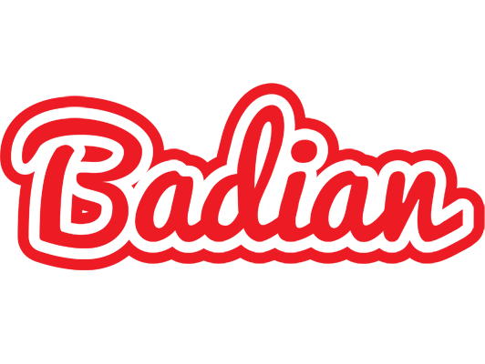Badian sunshine logo