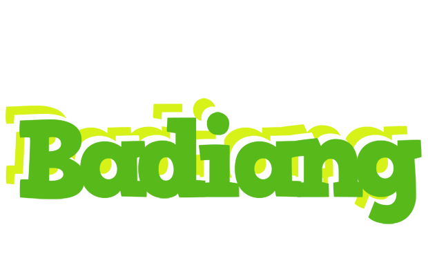 Badiang picnic logo