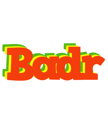 Badr bbq logo