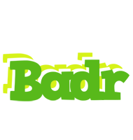 Badr picnic logo